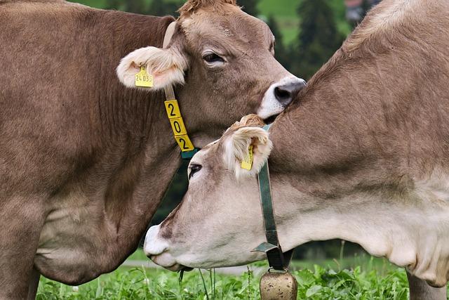 Intimní péče po holení: Důležitost čistoty a dezinfekce