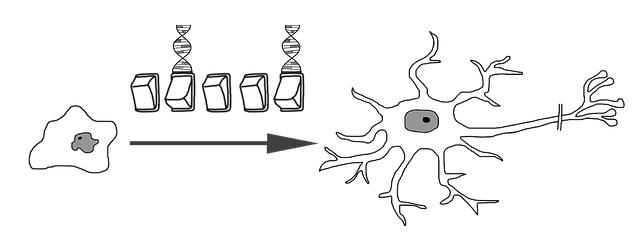 Co je hlavní příčinou geneticky žlutých zubů?